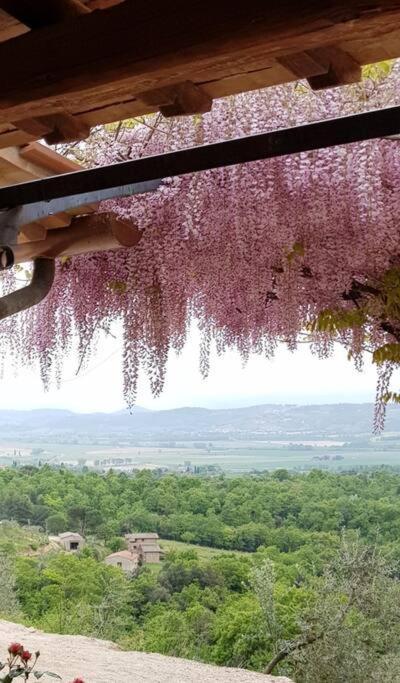 Vesper - Casale Con Piscina - Ad Galli Cantum Città della Pieve Kültér fotó