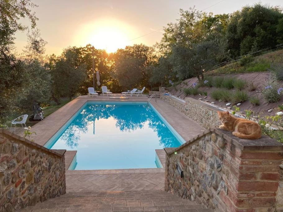 Vesper - Casale Con Piscina - Ad Galli Cantum Città della Pieve Kültér fotó