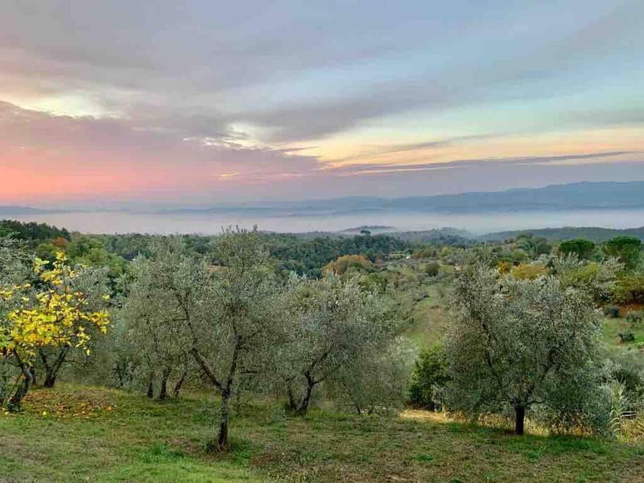 Vesper - Casale Con Piscina - Ad Galli Cantum Città della Pieve Kültér fotó