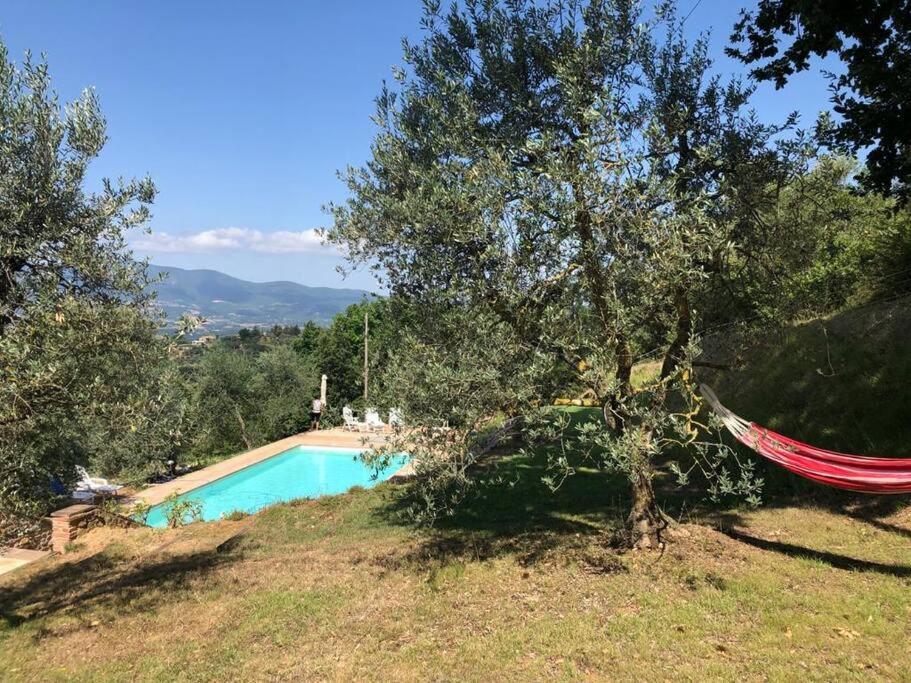 Vesper - Casale Con Piscina - Ad Galli Cantum Città della Pieve Kültér fotó